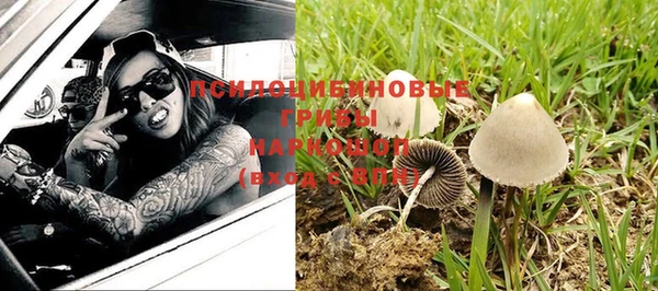 ALPHA PVP Баксан