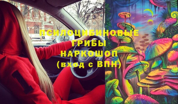 спайс Нягань