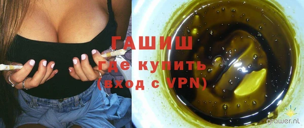 стаф Балахна
