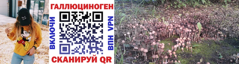 Псилоцибиновые грибы Psilocybine cubensis  хочу наркоту  Ясногорск 